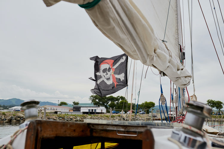 Jolly Roger pirate flag flying on a pirate ship